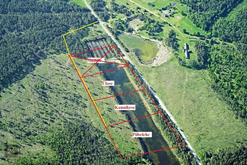 Maatulundusmaa, 24400 m² Maa  -  Saaremaa vald, Tõrise küla