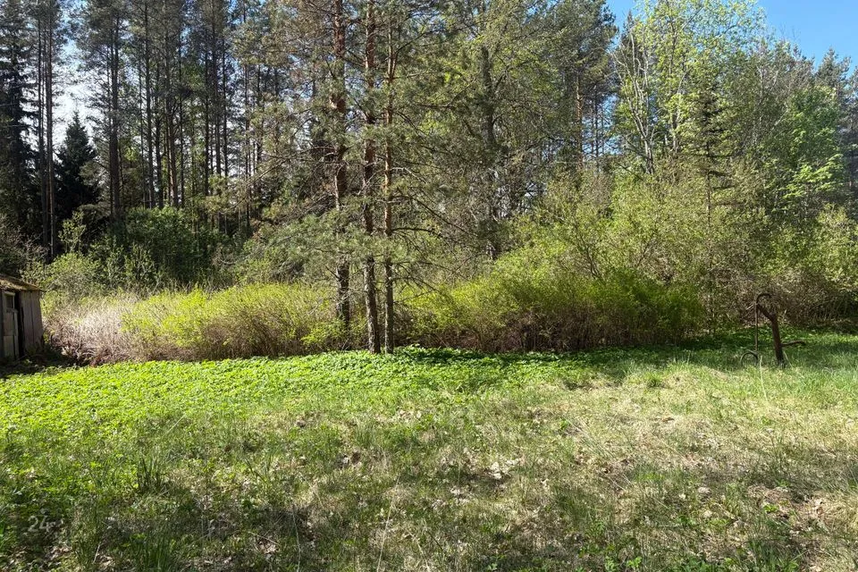 Elamumaa, 6159 m² Maa - Kose vald, Nõmmeri küla - foto 5