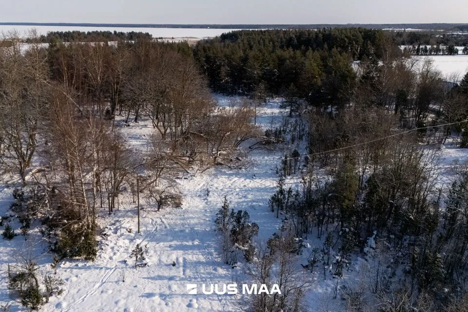 Maatulundusmaa, 14191 m² участок в Saaremaa vald, Oitme küla - фото 4