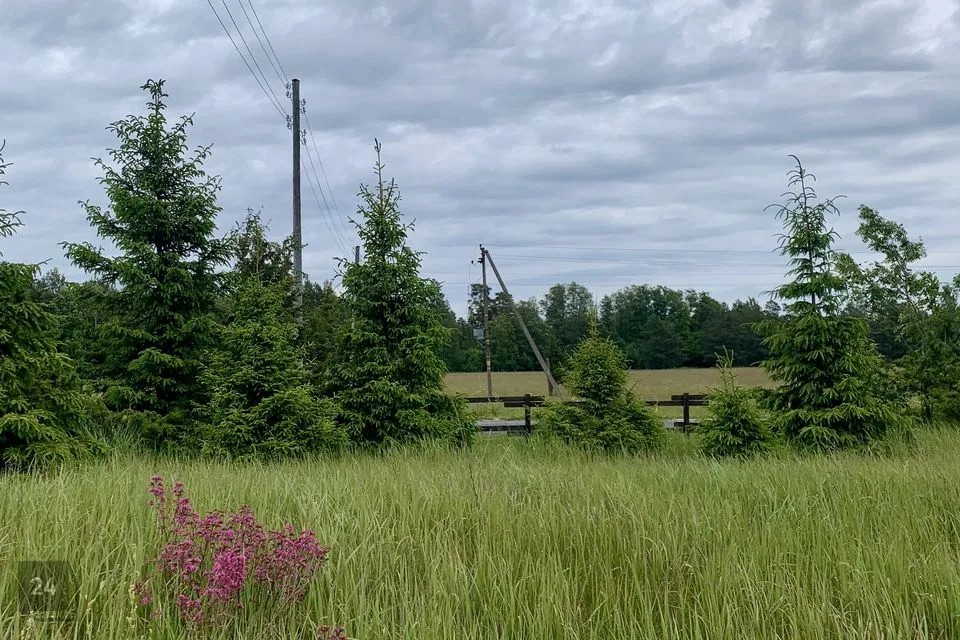 Elamumaa, 6626 m² Maa - Lääne-Nigula vald, Nõmmemaa küla - foto 4