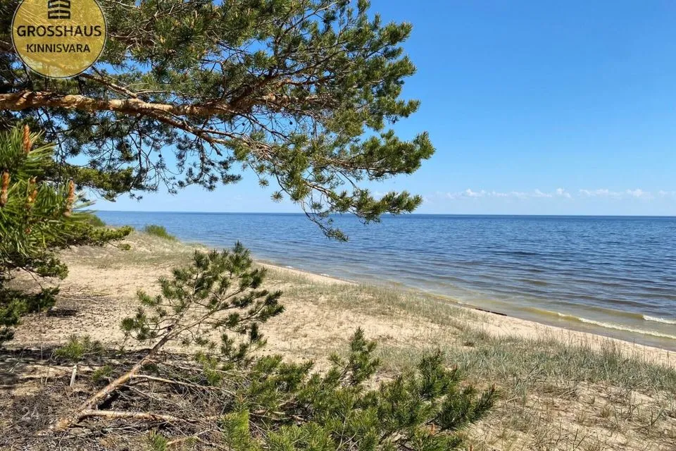 Земля жилой застройки, 2843 m² участок в Alutaguse vald, Kauksi küla