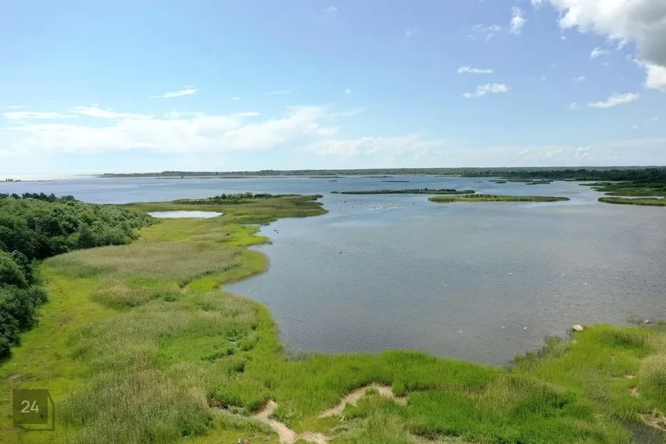 Maatulundusmaa, 89800 m² Maa - Saaremaa vald, Kõiguste küla