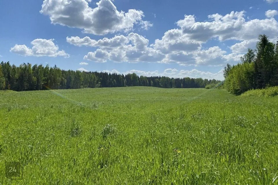 Maatulundusmaa, 37776 m² участок в Põlva vald, Vooreküla