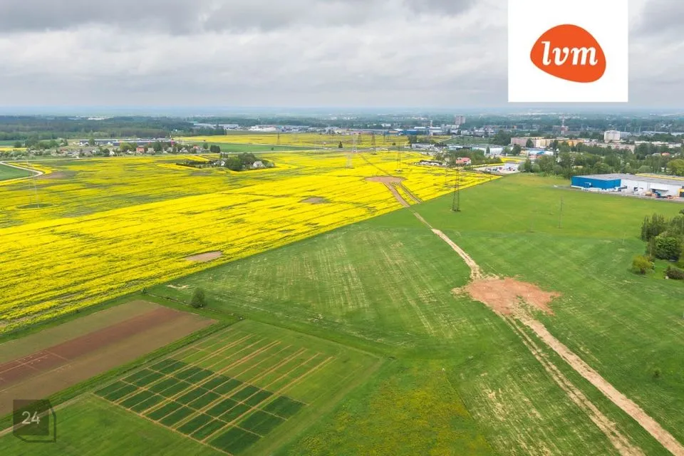 Cultivated land, 38005 m² land in Kambja vald, Õssu küla