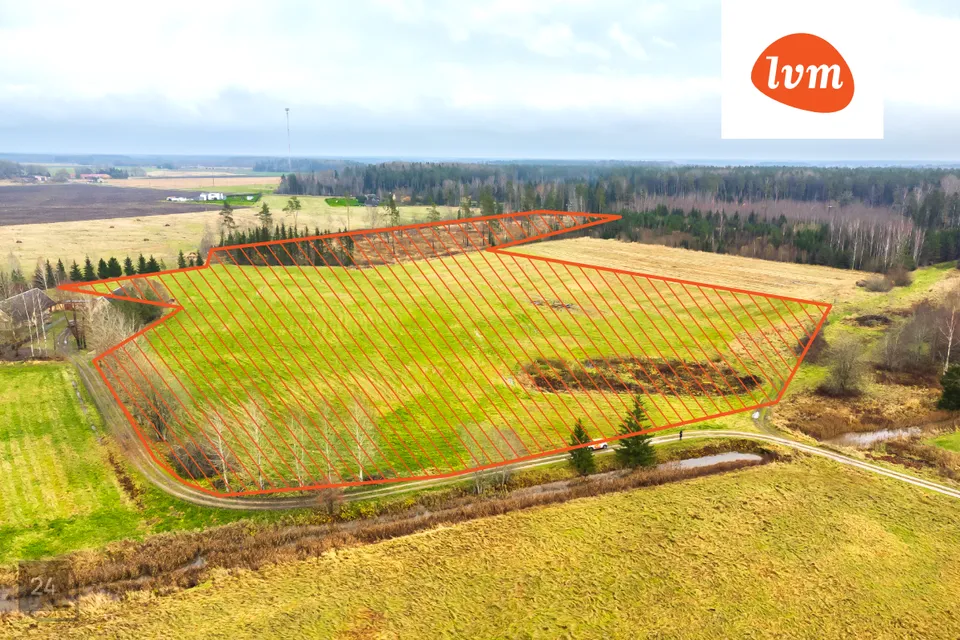 Maatulundusmaa, 65454 m² Maa - Tori vald, Are alevik