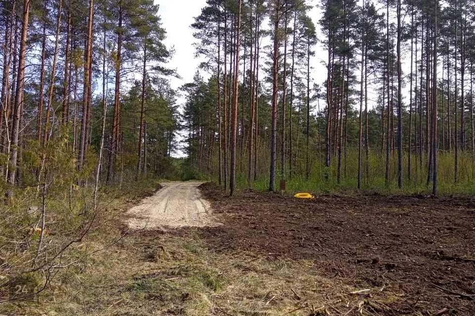 Maatulundusmaa, 15977 m² участок в Haapsalu linn, Rummu küla - фото 3