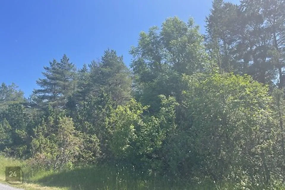 Maatulundusmaa, 41102 m² Maa  -  Saaremaa vald, Kõrkvere küla