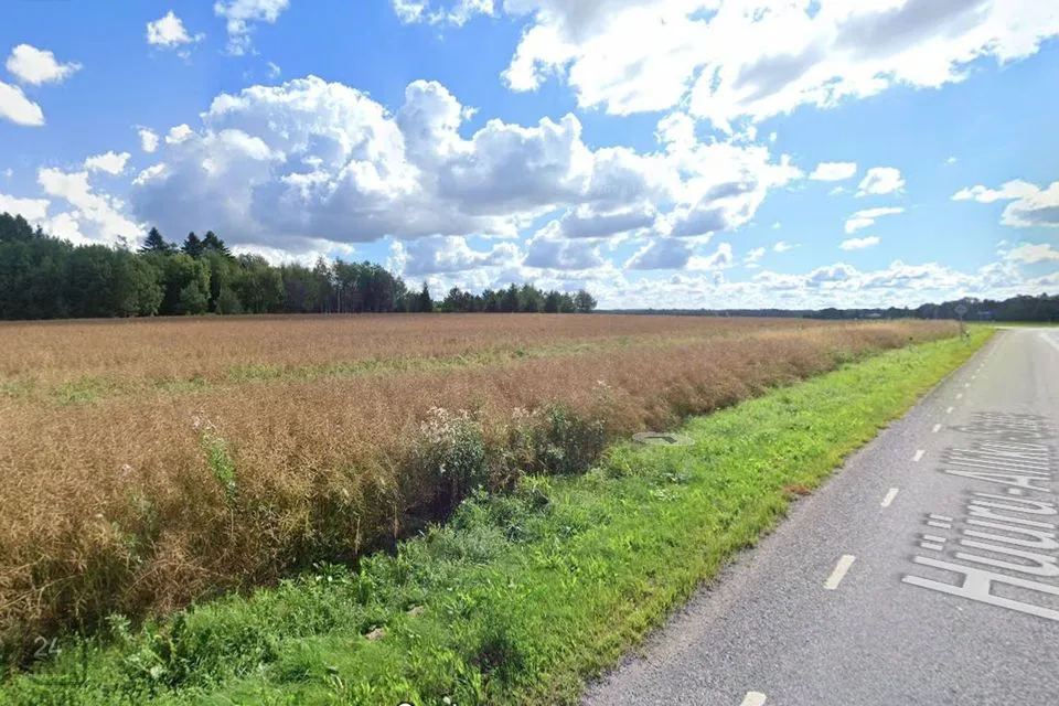 Maatulundusmaa, 13505 m² участок в Saue vald, Alliku küla