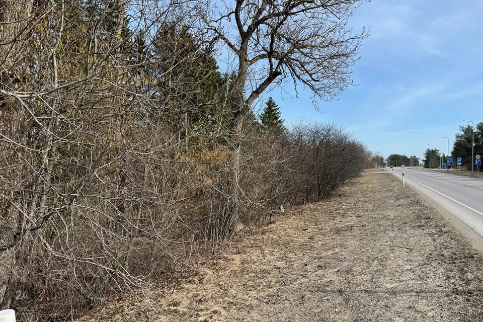 Maatulundusmaa, 31700 m² Maa  -  Lääne-Harju vald, Valkse küla - foto 4