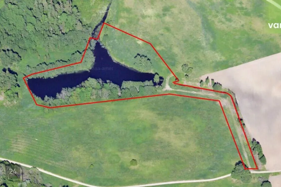 Veekogude maa, 27478 m² Maa - Otepää vald, Kibena küla