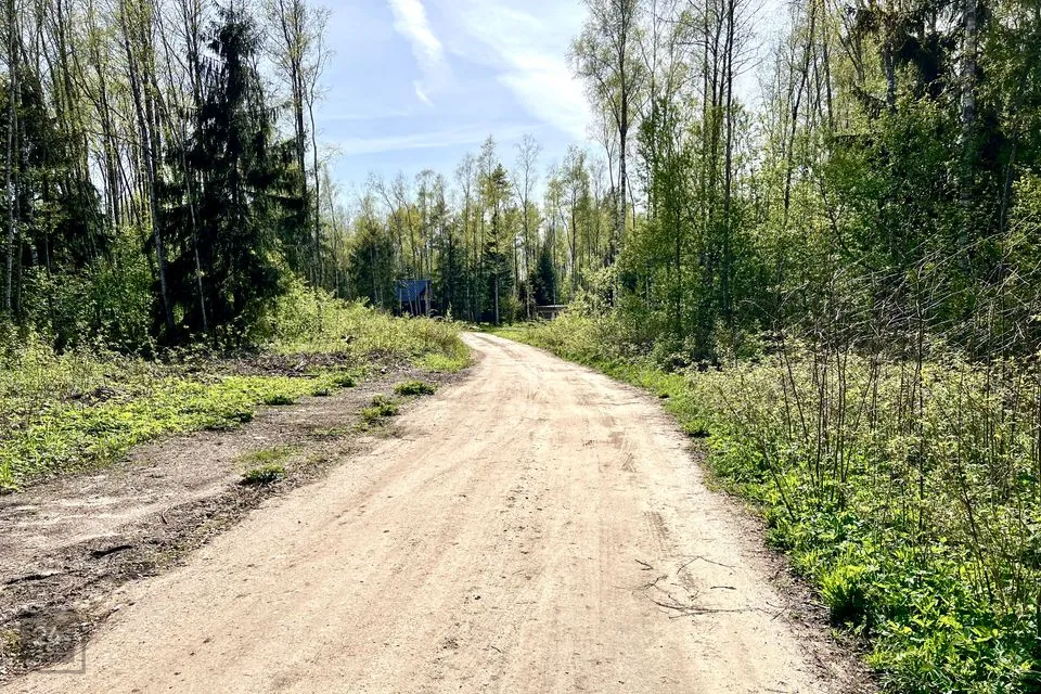 Elamumaa, 5126 m² Maa  -  Lääne-Harju vald, Madise küla - foto 5