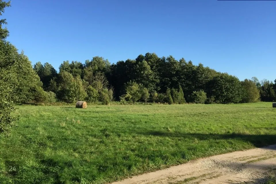 Maatulundusmaa, 4180 m² Maa  -  Lääneranna vald, Raespa küla - foto 3