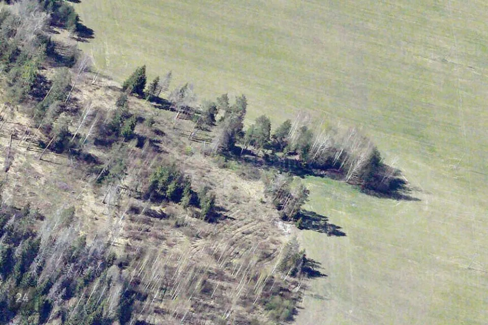 Maatulundusmaa, 13222 m² Maa  -  Märjamaa vald, Kõrvetaguse küla - foto 4