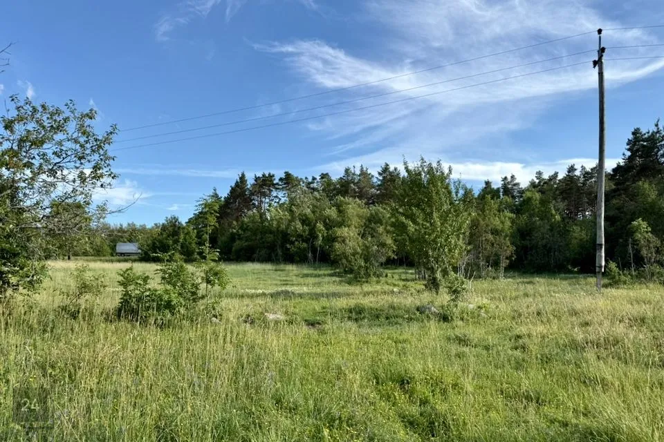 Maatulundusmaa, 16091 m² Maa  -  Saaremaa vald, Kaarma küla - foto 5