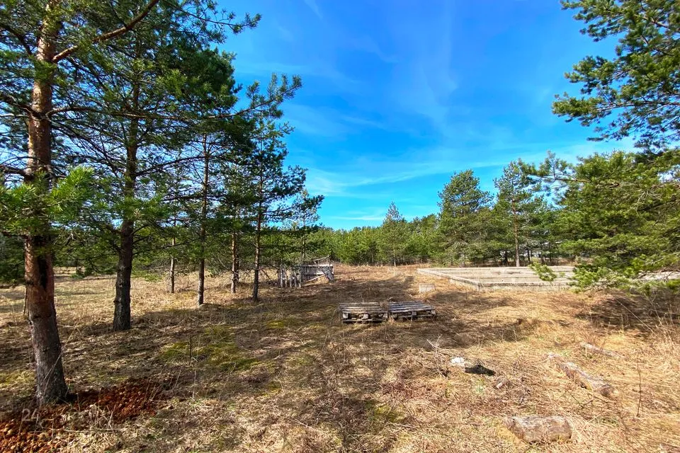 Земля жилой застройки, 1640 m² участок в Alutaguse vald, Kuru küla