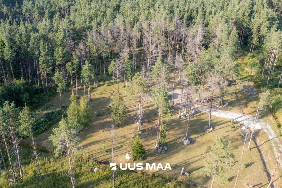 Земля жилой застройки, 5604 m² участок в Hiiumaa vald, Reigi küla - фото 4