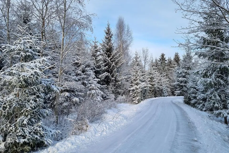 16097 m² Maa  -  Jõgeva vald, Vana-Jõgeva küla - foto 3