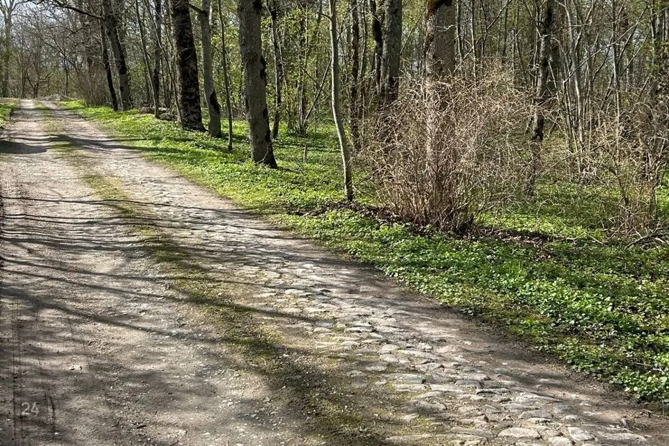 332 m² Äripind - Lääneranna vald, Kloostri küla - foto 5