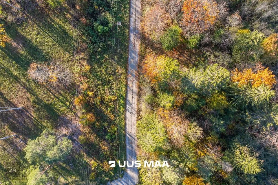 Maatulundusmaa, 24445 m² Maa - Lääne-Harju vald, Lehola küla - foto 2