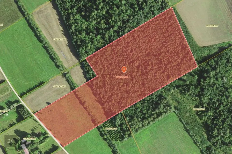 Maatulundusmaa, 54954 m² Maa  -  Põltsamaa vald, Mällikvere küla - foto 2