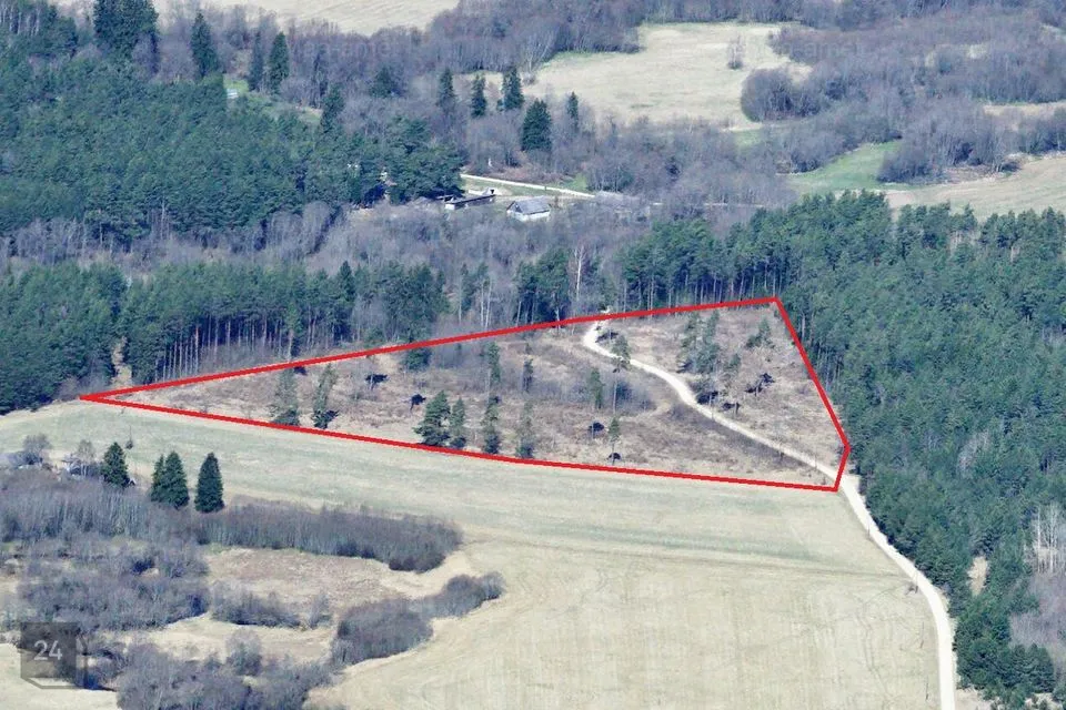 Maatulundusmaa, 40000 m² Maa - Viru-Nigula vald, Pärna küla - foto 3