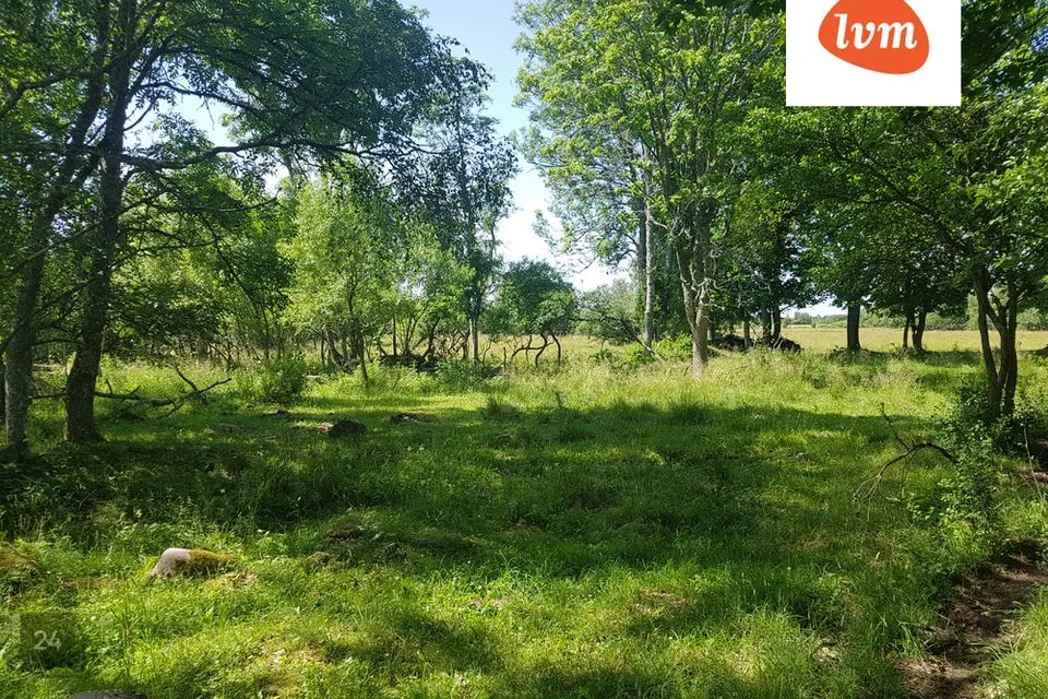 Elamumaa, 17633 m² Maa  -  Saaremaa vald, Vedruka