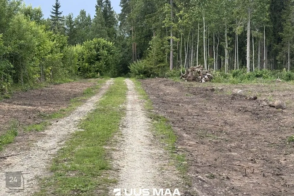 Cultivated land, 12706 m² land in Kohila vald, Mälivere küla - photo 4