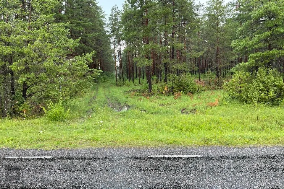 Maatulundusmaa, 21700 m² Maa - Muhu vald, Kuivastu küla - foto 5