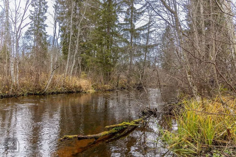 1-toaline Maja  -  Kanepi vald, Jõgehara küla - foto 2