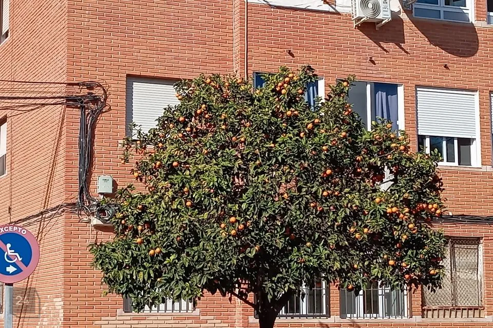 4-комнатная Квартира в Hispaania, Torrevieja