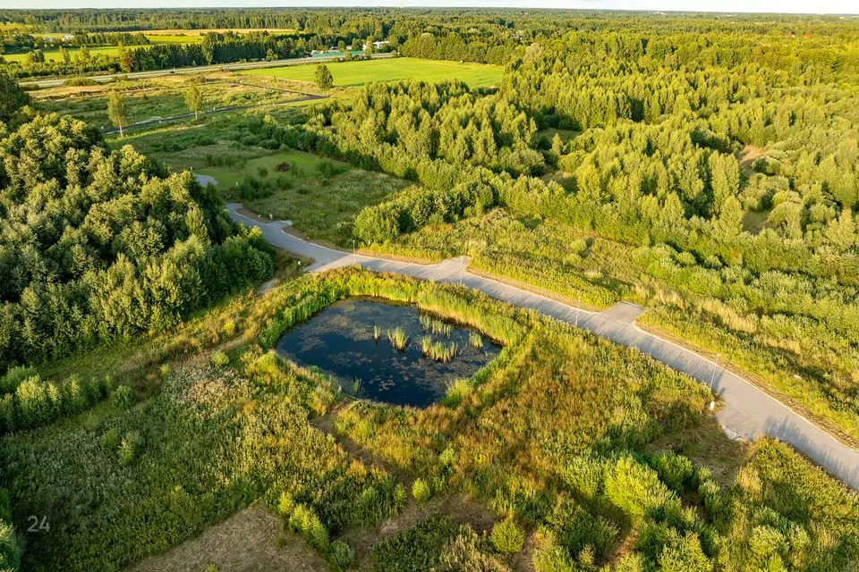 Metsatuka elamurajoon Maa  -  Pärnu linn, Papsaare küla - foto 4